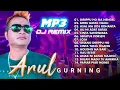 Download Lagu Arul Gurning - DJ REMIX BATAK LAGU TERBAIK ARUL GURNING || FULL ALBUM