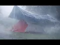Lagu AMAZING‼️Solo Camping heavy Rain With Thunderstorm - Asmr