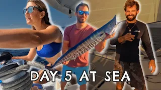 Day 5: Sailing from the Bahamas to Panama, No Sleep, No Autopilot… no problem