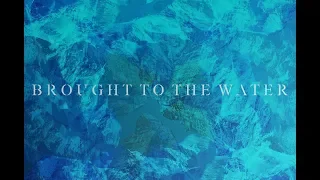 brought to the water