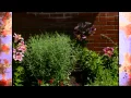 The Tulsa County Extension Office Garden