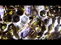 Wasps Nest Macro