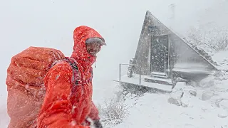 Survival Shelter Camping in a Blizzard
