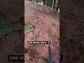 Download Lagu Bekijk de volledige video op mijn kanaal!👇