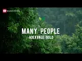 Adekunle Gold - Many People (lyrics)