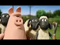 Download Lagu Pigs in trouble Again! 🐑 Shaun the Sheep 🐑  - Cartoons for Kids 🐑 Full Episodes Compilation [1 hour]