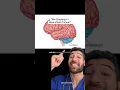 Download Lagu “Randomly Checking if I Have a Brain Tumour” #test