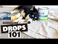 The Right Drop Cloth 101 Stop Paint Spills With the Right Gear