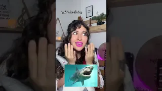 مرة في حينا زارنا قرش مخيف 