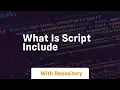 what is script include
