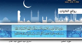 القارئ سيد متولي عبد العال ـ سورة النمل 