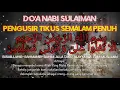 Download Lagu PENGUSIR TIKUS, DOA NABI SULAIMAN