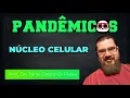 Núcleo Celular