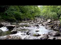 Mountain Stream Flowing Waterfall Sounds River Sounds Flowing Water Sounds for Sleep Relax