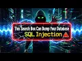 This Search Box Can Dump Your Database SQL Injection