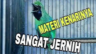 Download MASTERAN CUCAK IJO TERBAIK AGAR MAU BONGKAR ISIAN KENARI MP3