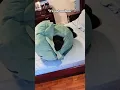 This turtle pillow is the perfect gift