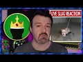 DSP retcons The DSP Documentary