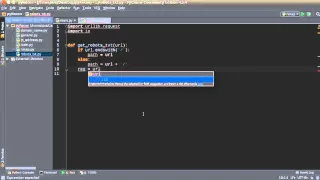 Python Website Scanner Tutorial - 5