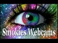 Gatlinburg TN Live Webcams to See the Smoky Mountains From Anywhere in the World - Links Below