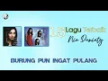 Download Lagu Nia Daniaty - Burungpun Ingat Pulang