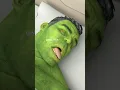 Download Lagu Marvel Animation 73% Hulk is dead!!!                                                         #shorts