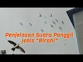 Download Lagu Petani walet wajib tau jenis suara Panggil yang disukai burung walet@magochanel