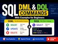 SQL DML DQL Commands INSERT UPDATE DELETE SELECT Explained