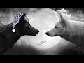Inside You There Are Snoring Wolves