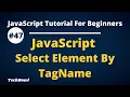 Select Elements By TagName in JavaScript Document Object Methods in JavaScript tutorial Hindi