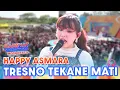 Download Lagu Goyang Yuk Penonton! Happy Asmara Bikin Tresno Tekone Mati | DAHSYATNYA SPEKTAKULER MOJOKERTO