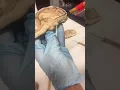 sheep brain anatomy dr madden