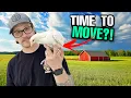 When Can Baby Chicks Move Out To The Coop Transitioning Your Chicks