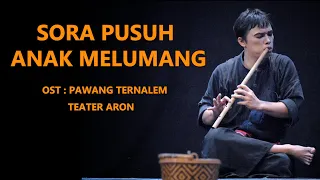 sora pusuh anak melumang alasen barus ost pawang ternalem