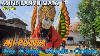 Download Asine Banyu Mata - Voc iin ❗️❗️❗️ Burok Aji Putra Live Citemu Cirebon MP3