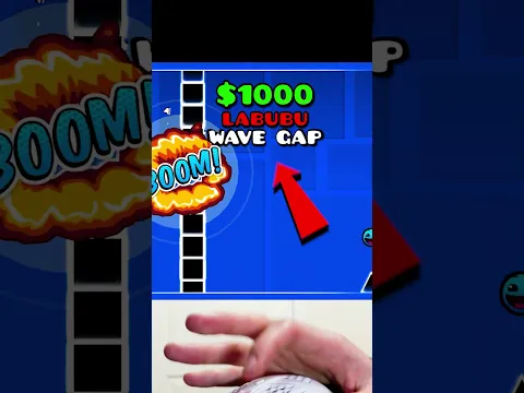 $1,000 Impossible Labubu Wave Gap!