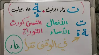 تاء التأنيث و هاء التأنيث 