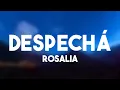 Download Lagu DESPECHÁ - Rosalia (Lyrics)