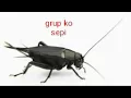 Download Lagu Grup sepi ya ksh ini aja