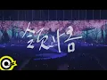 Download Lagu 辛曉琪 Winnie Hsin【領悟 Understanding】「人生若只如初見」演唱會 Official Live Video(4K)
