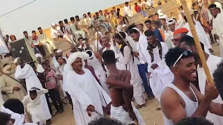 جديد 2026 الفنان محمد نايل 