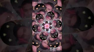                 دندنها