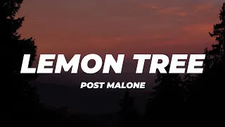 Download Post Malone - Lemon Tree (Lyrics) MP3