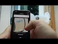 How to Connect Reolink Camera to Via the App