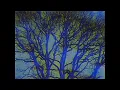 Download Lagu Moonlight on the River - Mac DeMarco (too slowed down)