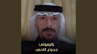ياليموني Live 