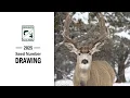 2025 Seed Drawing