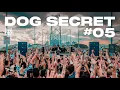 Download Lagu Dubdogz - DOG SECRET - #05 (Ponte Hercílio Luz | Floripa - SC)