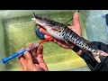 EMERGENCY SURGERY on PET FISH OPERATION