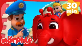 Morphle Turn Into An Elephant! | Morphle's Magic Universe 🌌 | Adventure Cartoons for Kids
